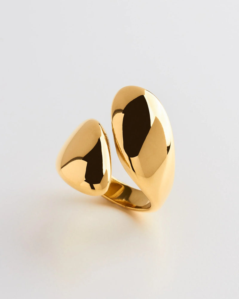 Jani Rind Kael Ring